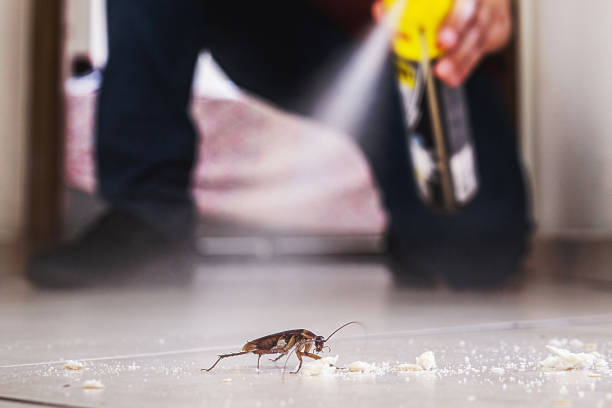 Best Pest Prevention Services  in Montvale, NJ